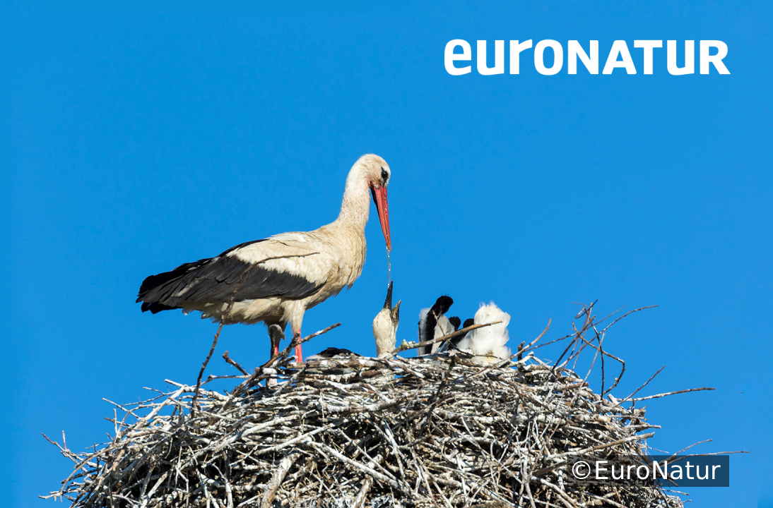 EuroNatur